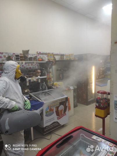 Уничтожение тараканов,клопов,плесени,шершней,крыс