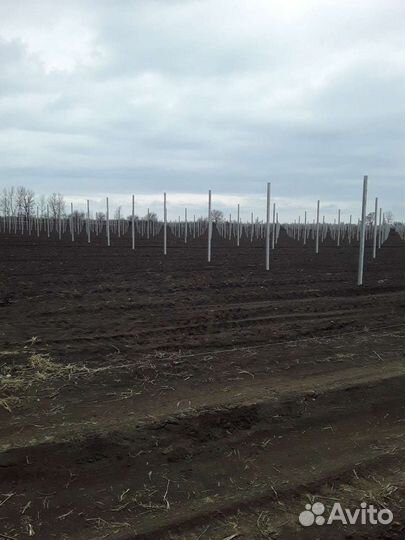 Сады под ключ