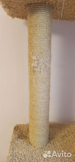 Когтеточка для кошек бу