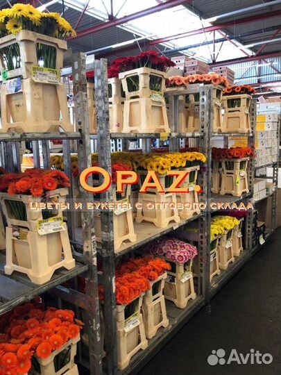 Цветы оптом розы от 50шт