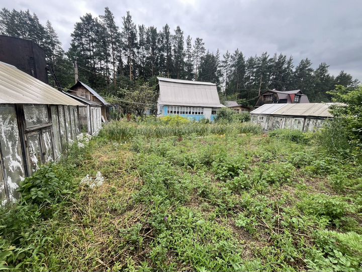 Дача 31 м² на участке 7,8 сот.