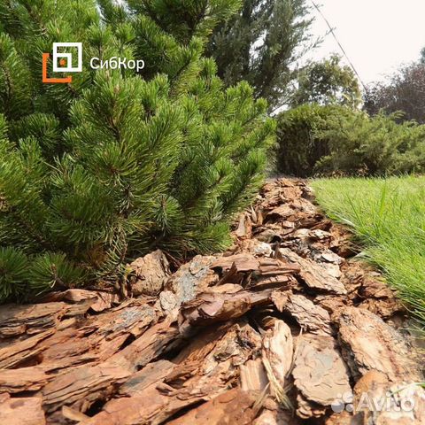 Кора лиственницы мульча