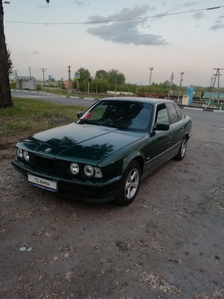 BMW 5 серия: фото владельца