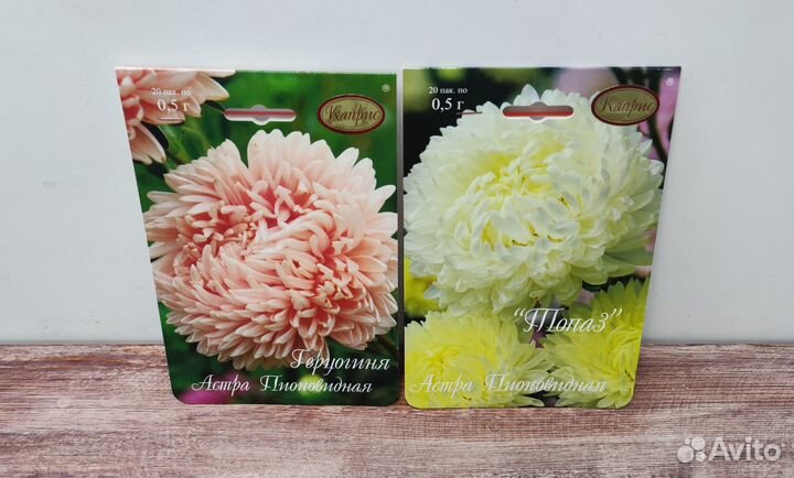 Семена Астра Каприс