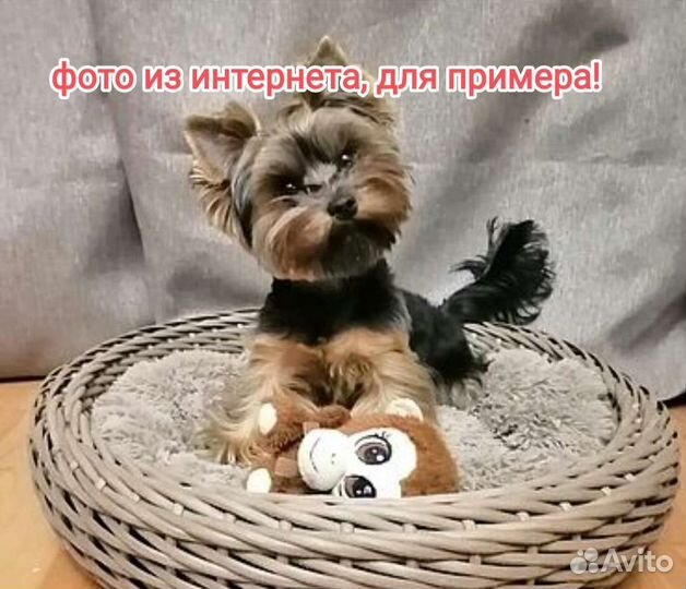 Кашпо шар