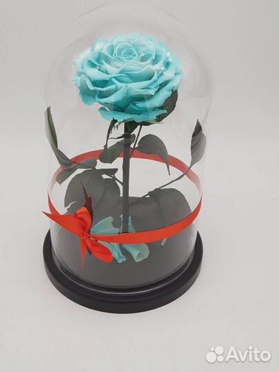 Роза в колбе. Стоит до 8 лет