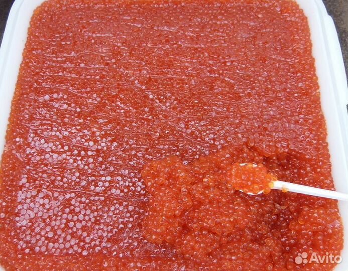 Икра красная август 2023 оптом и мелким оптом