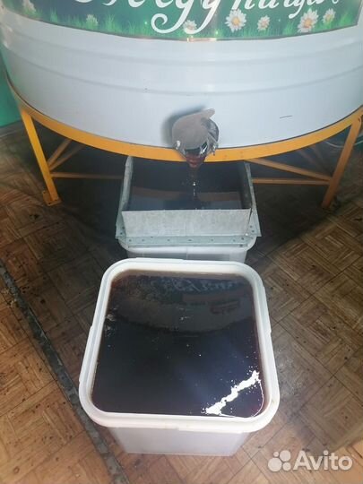 Продам мед оптом