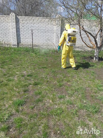 Уничтожение тараканов клопов блох комаров муравьев