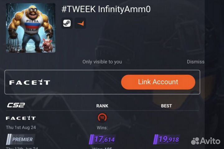 Тренер по кс 2 (cs2) 10 lvl faceit