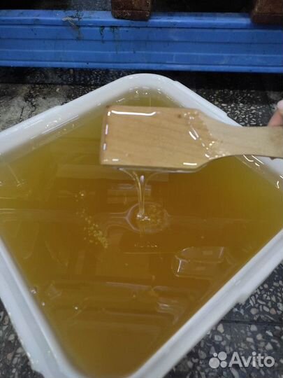 Мёд свежая акация Качка 2023 Только опт