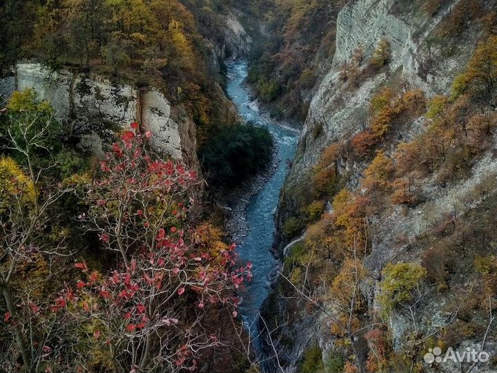 Грозный Топ-Экскурсия Аргунское ущелье: по дороге