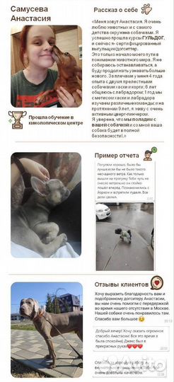 Передержка собак в домашних условиях