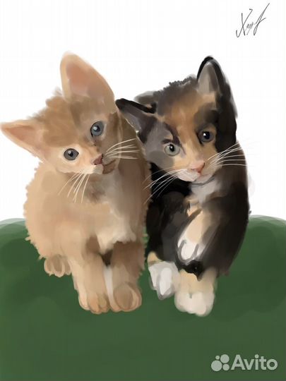 Рисую питомцев на заказ