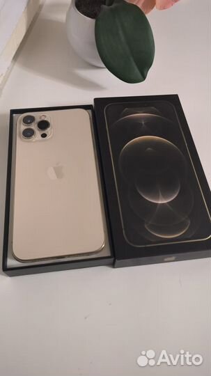 iPhone 12 Pro Max, 128 ГБ