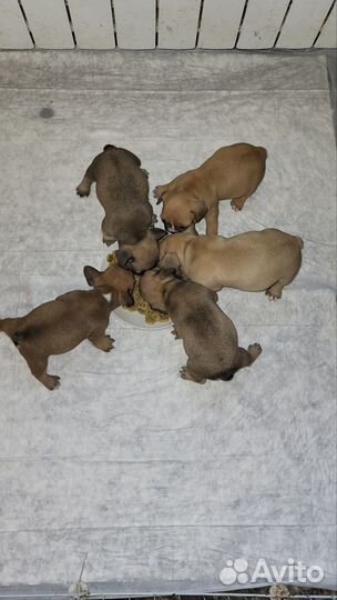 Супер детки