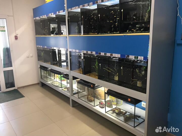 Аквариумные рыбки