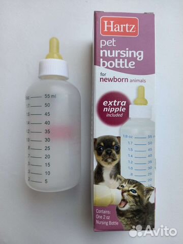 Бутылка для котят