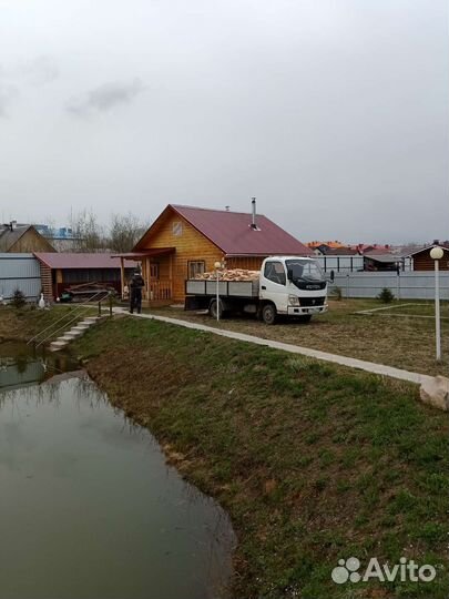 Дрова хвоя, берёза