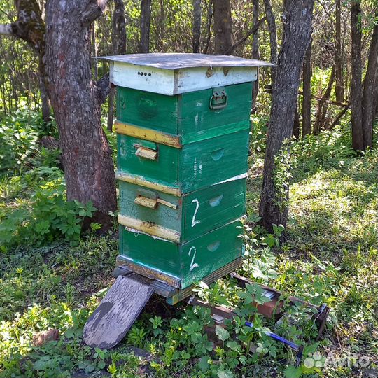 Улей для пчел бу