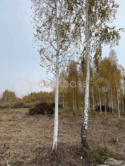 Участок 14,4 сот. (ИЖС)