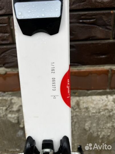 Горные лыжи