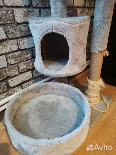 Когтеточка