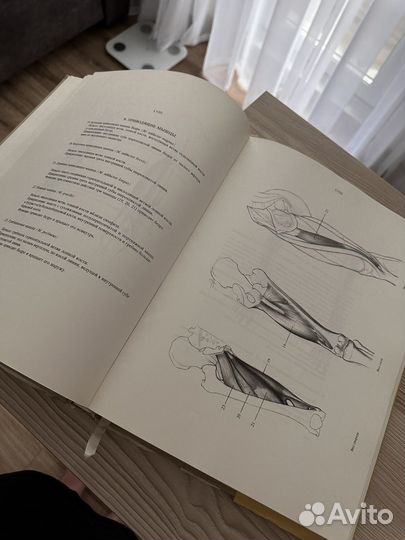 Енё Барчаи анатомия для художников