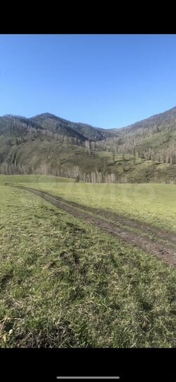 Участок 12,23 га (СНТ, ДНП)