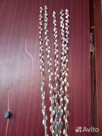 Верба букеты