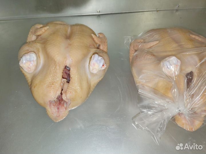 Мясо домашнего бройлера, утки, гуся