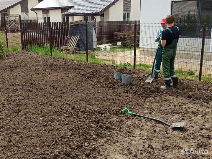 Посев газонной травы