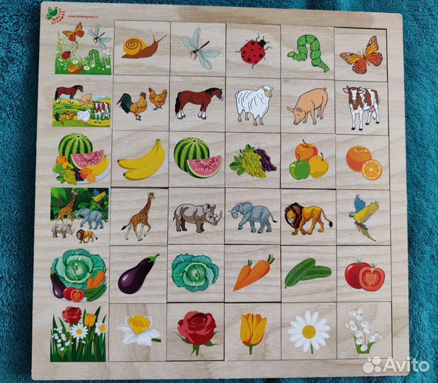 Развивающие игрушки