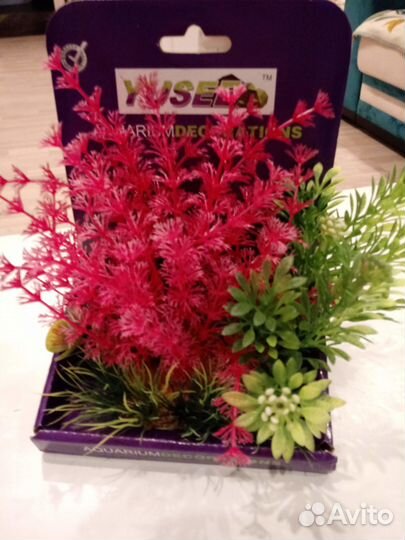 Набор аквариумиста