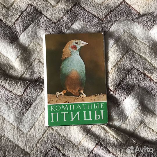 Набор открыток Комнатные птицы, СССР, 1984