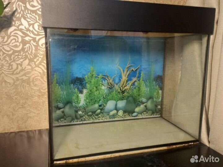 Аквариум