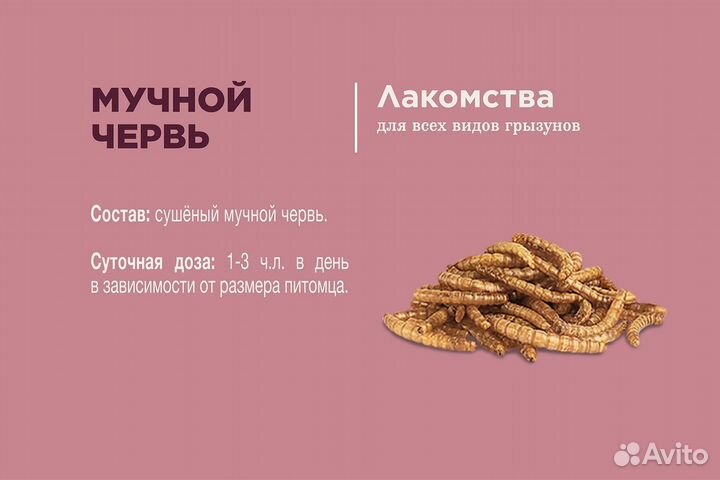 Little One мучной червь, лакомство для всеядных гр