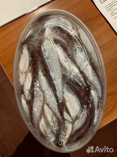 Тугунок (сосвинская сельдь) слабосолёный