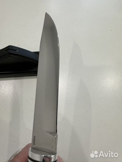 Златонож финка юсси n690