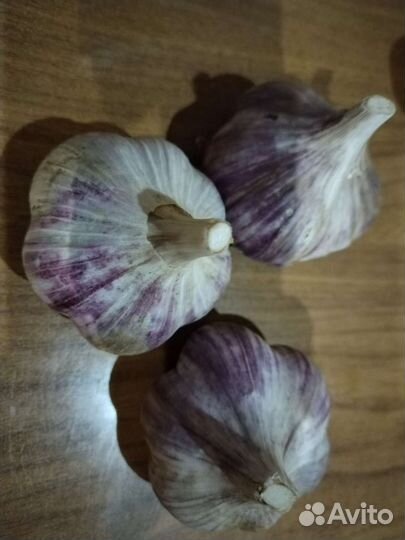 Чеснок домашний отборный