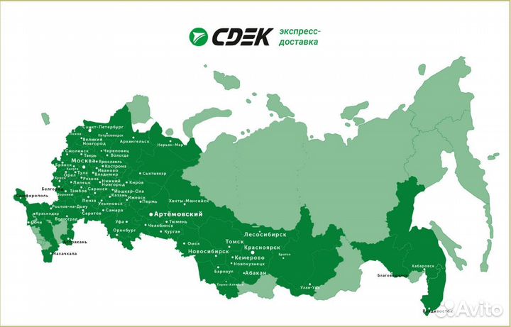 Роза шраб «Роял палас» - саженцы зкс, Сады Урала