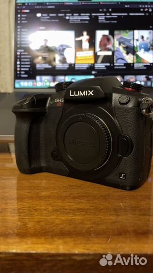 Panasonic lumix gh5s