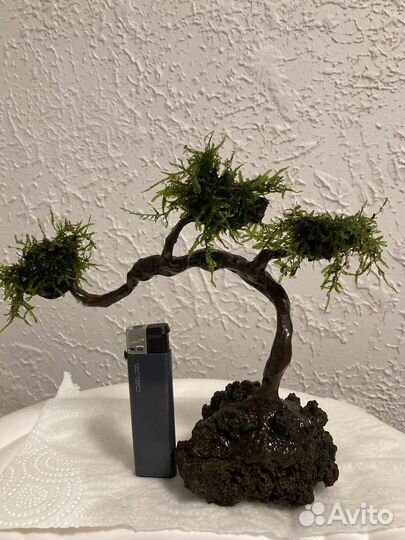 Украшение для аквариума грот дерево бонсай