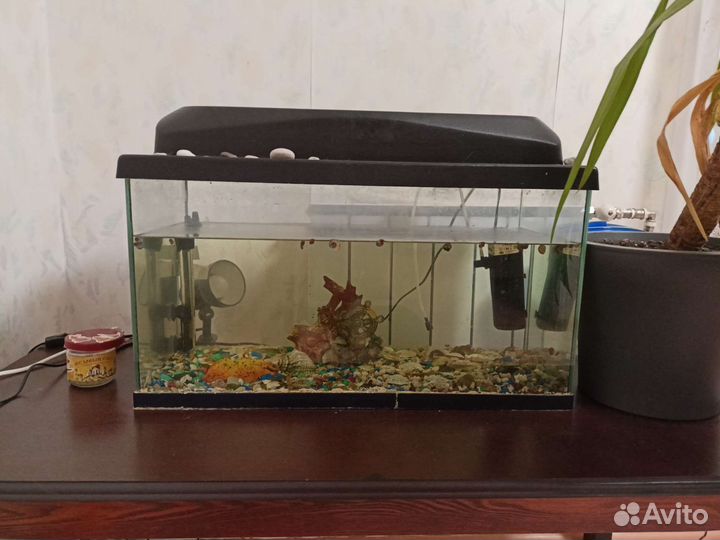 Аквариум 62 литра