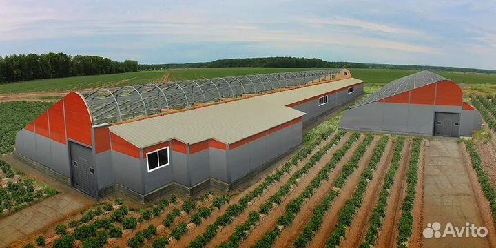 Быстровозводимые теплицы