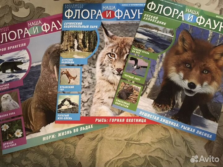 Журналы для детей