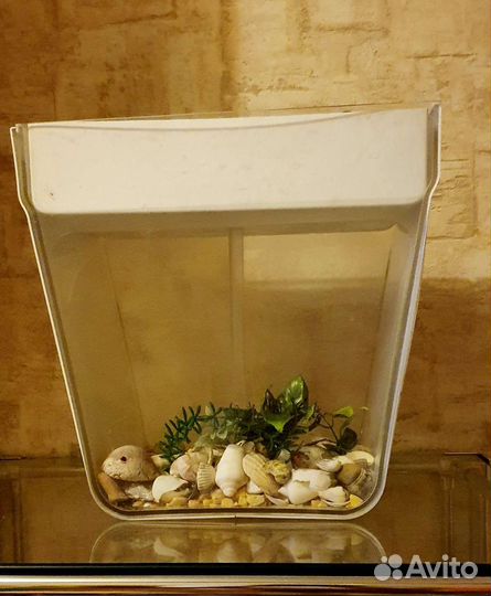 Акваферма AguaFarm