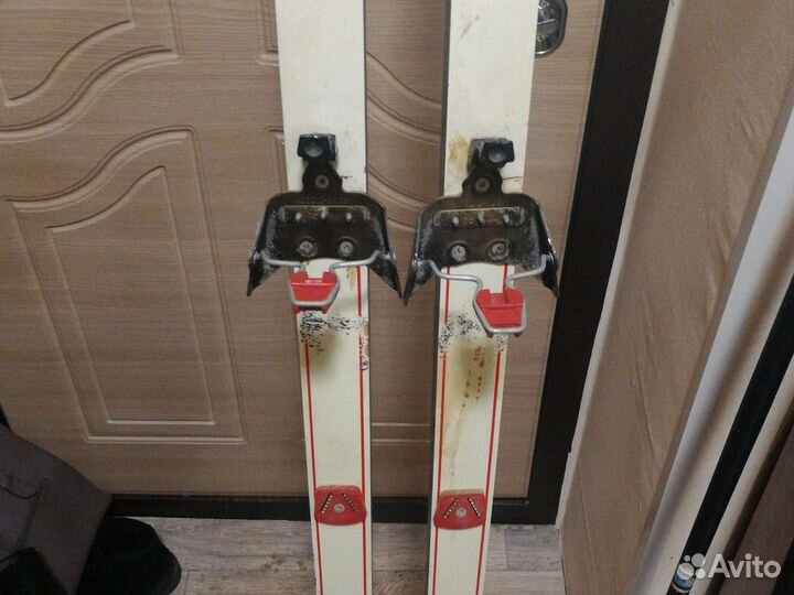 Беговые лыжи