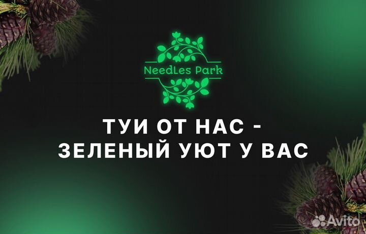 Туя западная смарагд,колумна