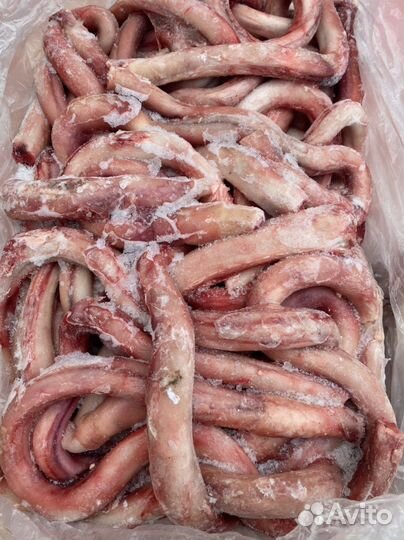 Бычий корень